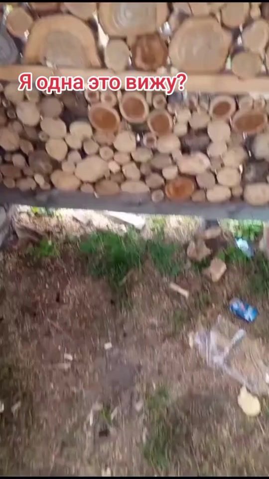 TikTok video thumbnail by tatuha47