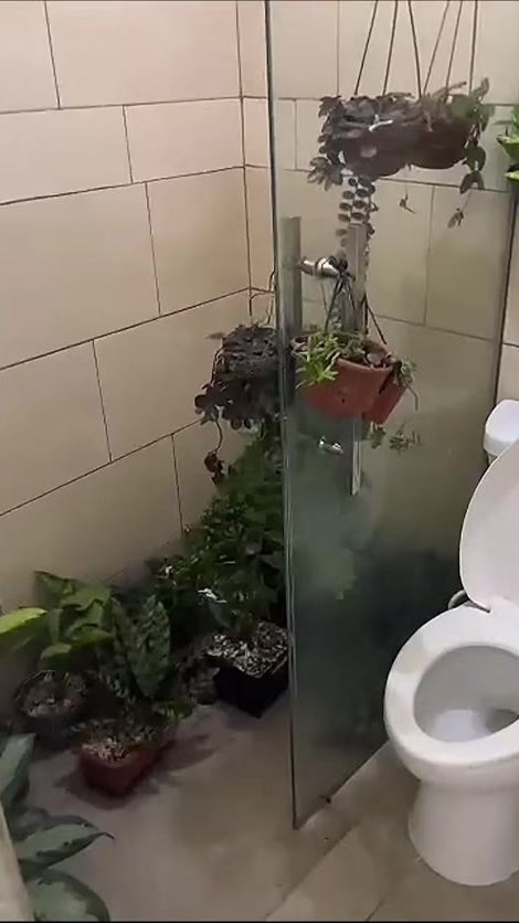 TikTok video thumbnail by peluchem5