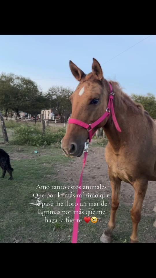 TikTok video thumbnail by melinabrites