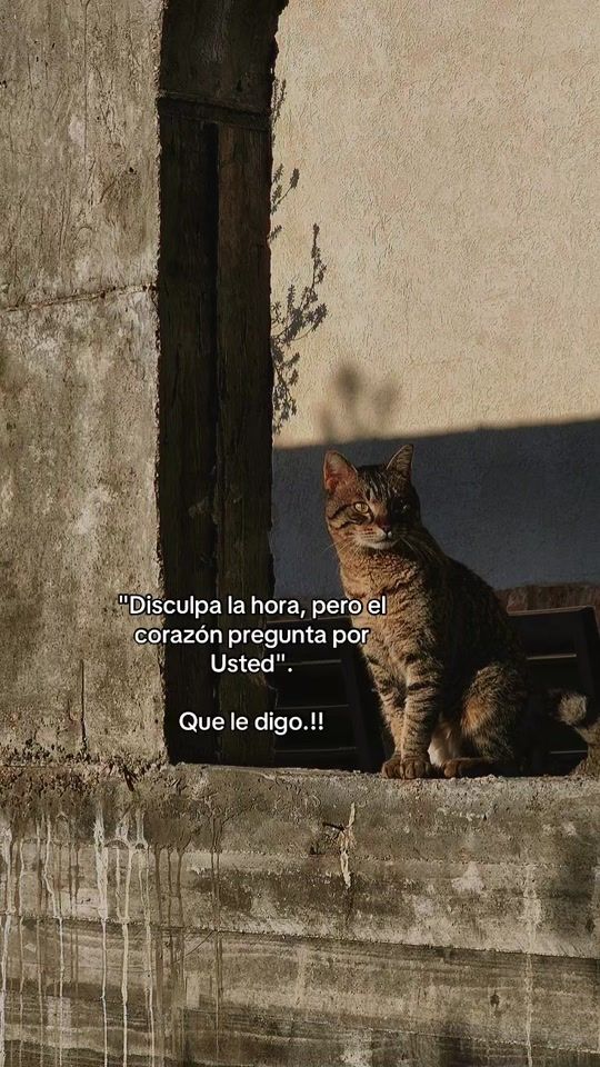 TikTok video thumbnail by _amantedelasletras
