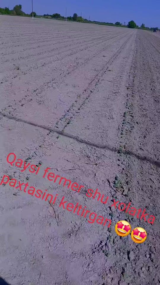 TikTok video thumbnail by muxammadalimuxidd