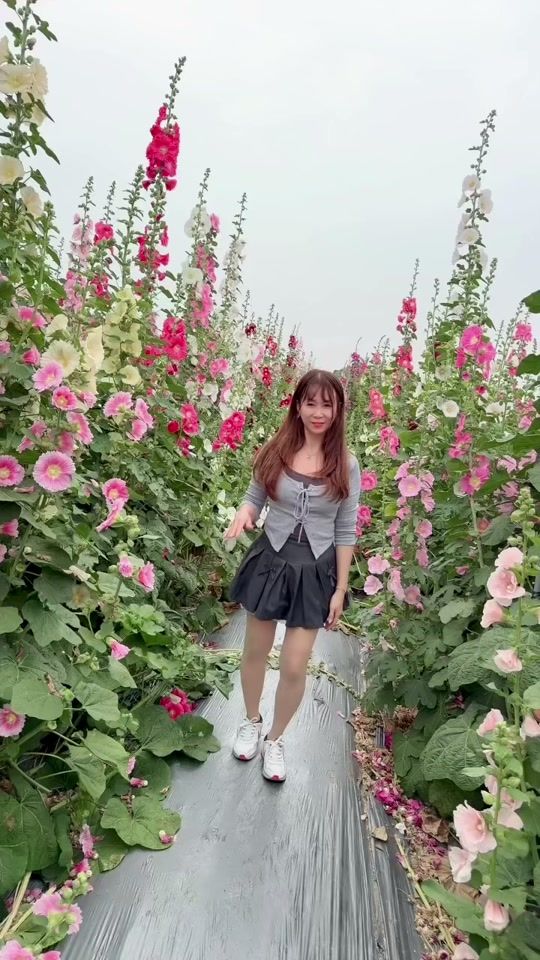 TikTok video thumbnail by lijuan53