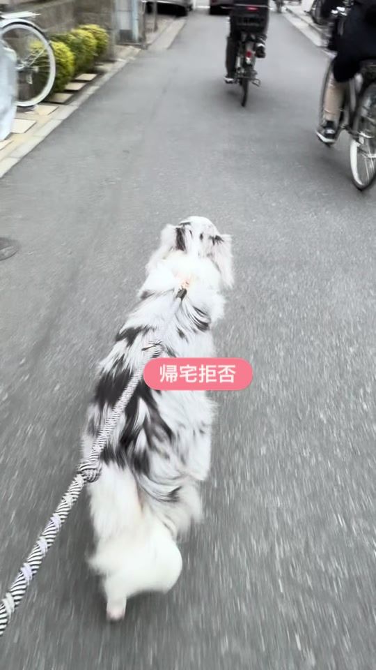 TikTok video thumbnail by luke_smbc