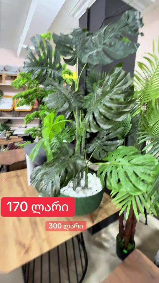 TikTok video thumbnail by skamuka