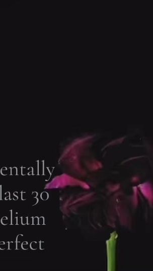 TikTok video thumbnail by klhiomrandomwordslol