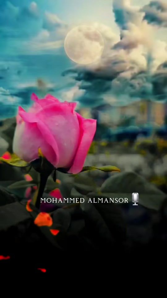 TikTok video thumbnail by mohammed_almansor7