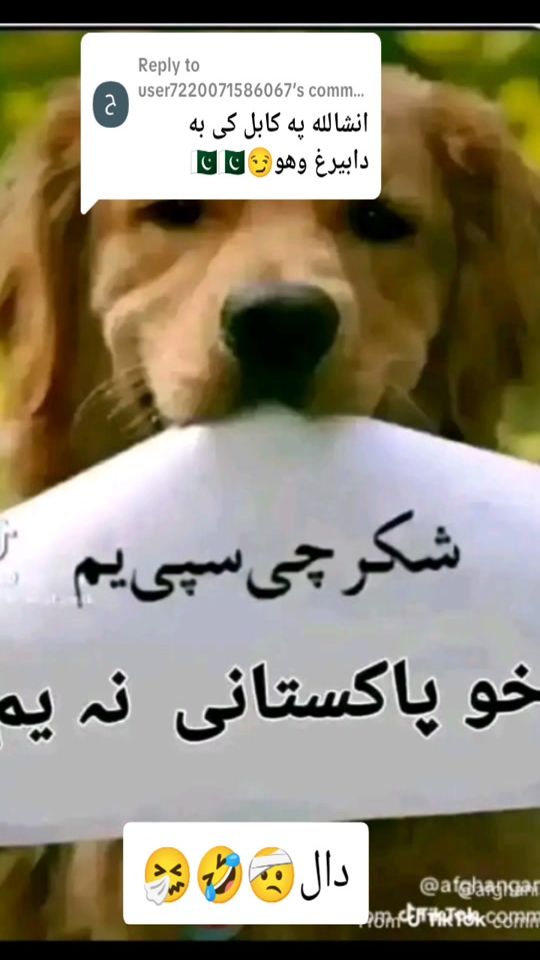 TikTok video thumbnail by arman.ghafoori64