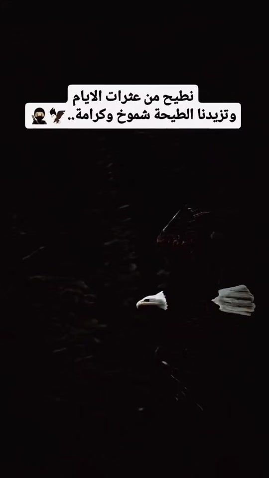 TikTok video thumbnail by ._al.d.h.i.y.b
