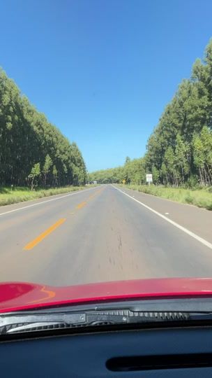 TikTok video thumbnail by alelitosantos