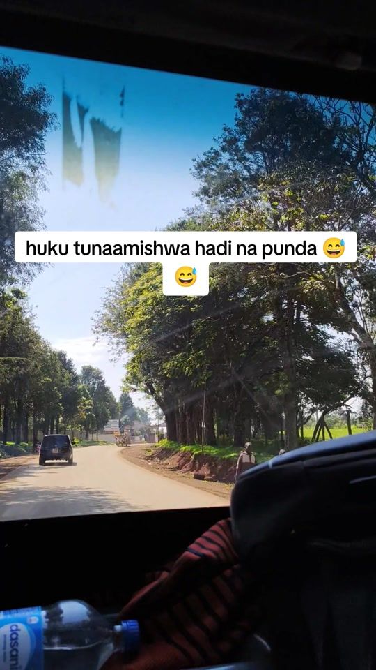 TikTok video thumbnail by wendysara25