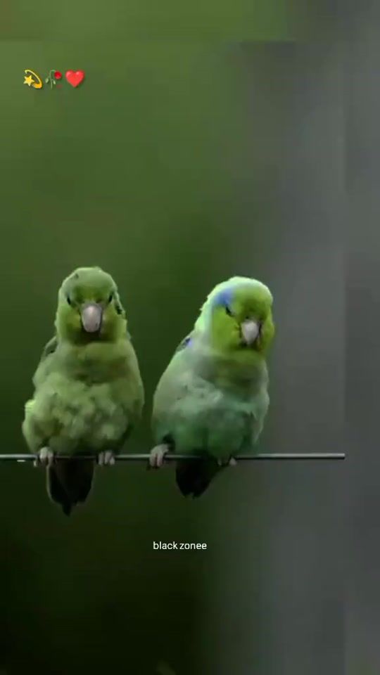 TikTok video thumbnail by fidaafg4