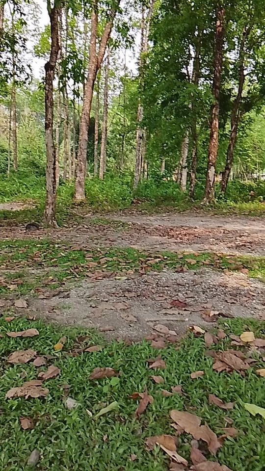 TikTok video thumbnail by kinzangmo49