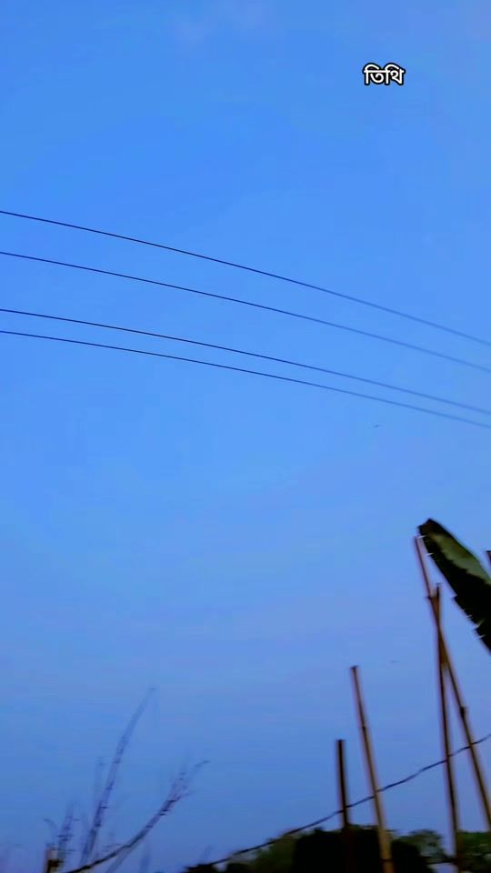 TikTok video thumbnail by sajibkha100