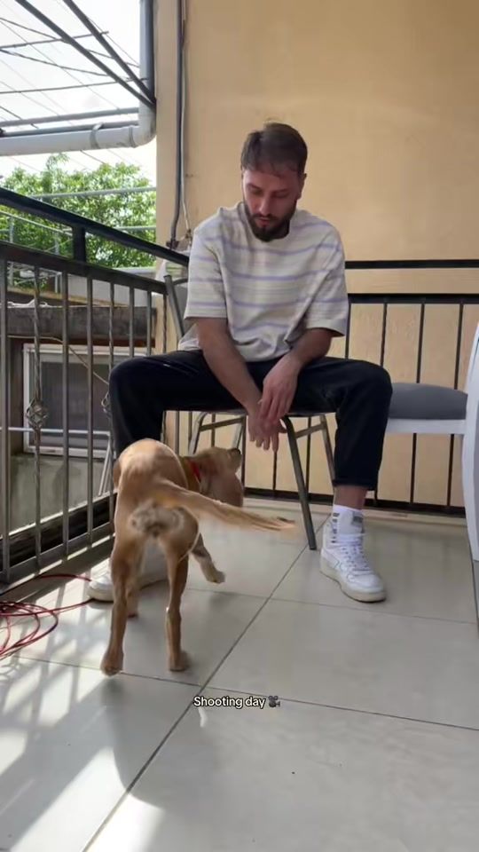 TikTok video thumbnail by sophiaghvv