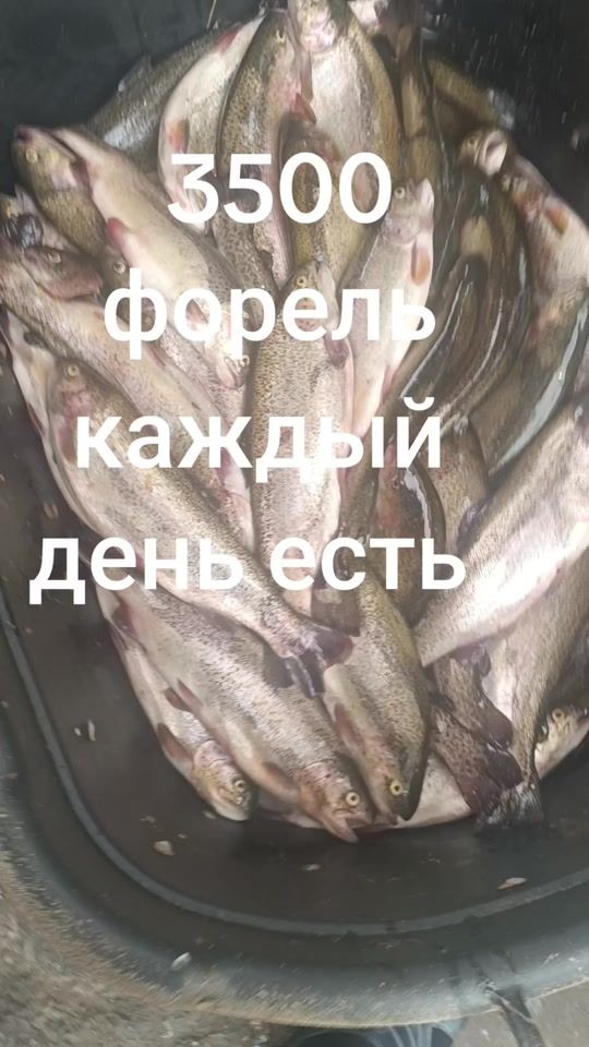 TikTok video thumbnail by aziz08taraz