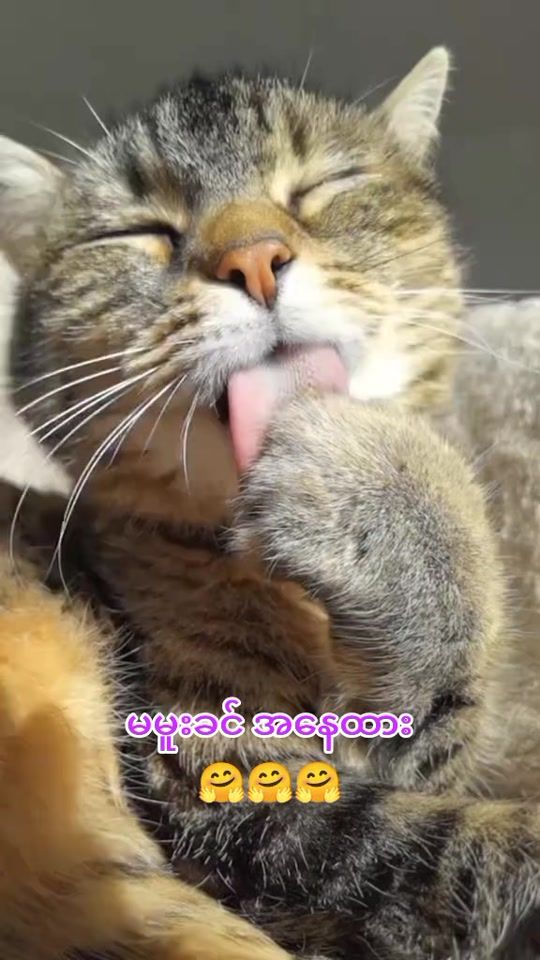 TikTok video thumbnail by m..t5259