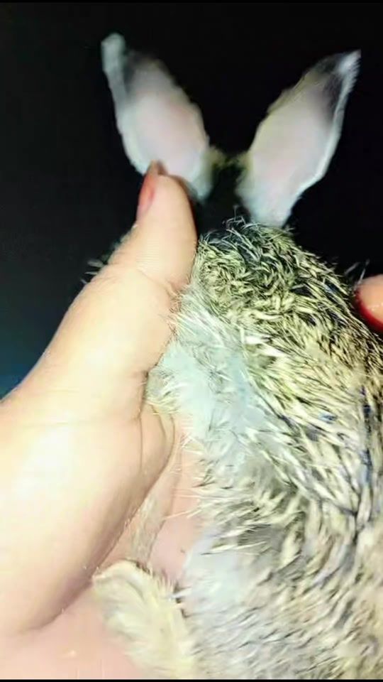 TikTok video thumbnail by angel..angel22
