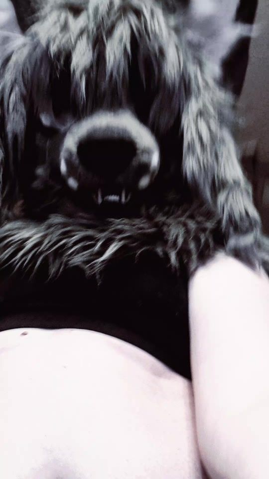 TikTok video thumbnail by dozai_gogol