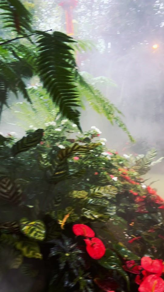 TikTok video thumbnail by daththagyi0