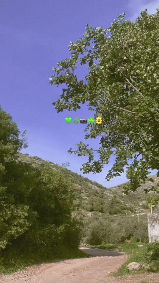 TikTok video thumbnail by m.kk856