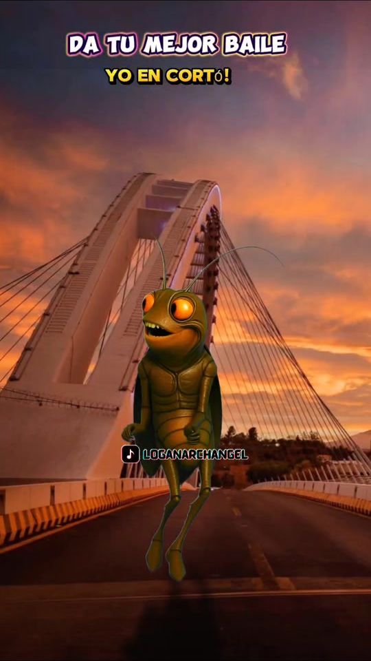 TikTok video thumbnail by la.chura.tarija