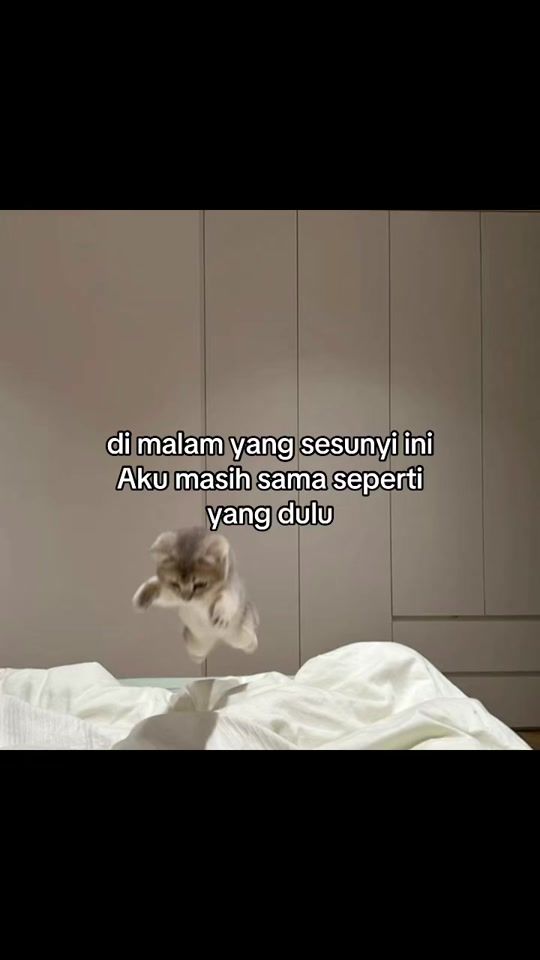 TikTok video thumbnail by lucxifvr.r