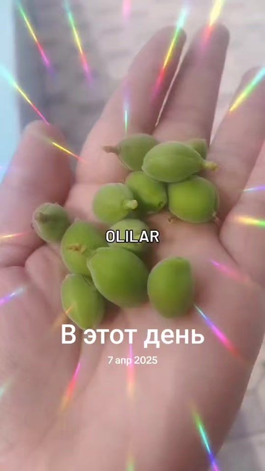 TikTok video thumbnail by irodaxon25