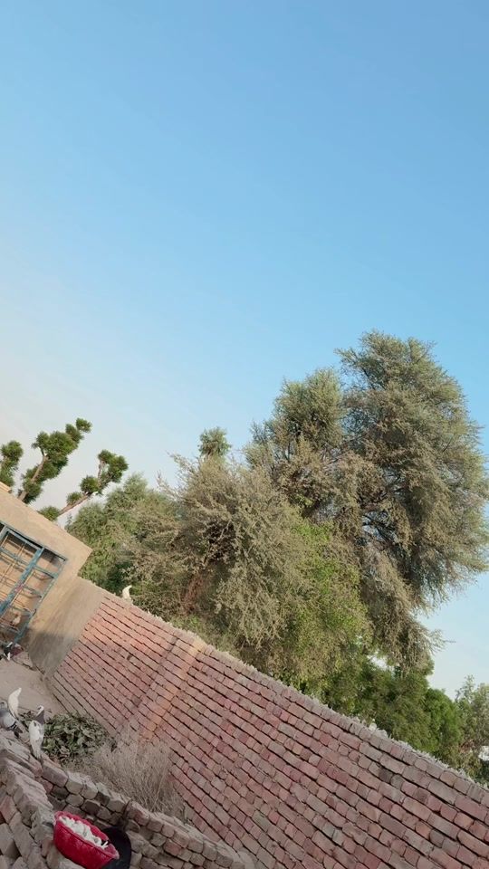 TikTok video thumbnail by zoyabaloch632