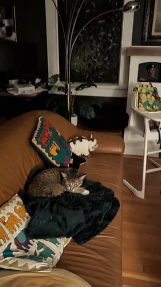 TikTok video thumbnail by michaelsheldrake