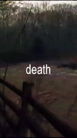 TikTok video thumbnail by rayldr
