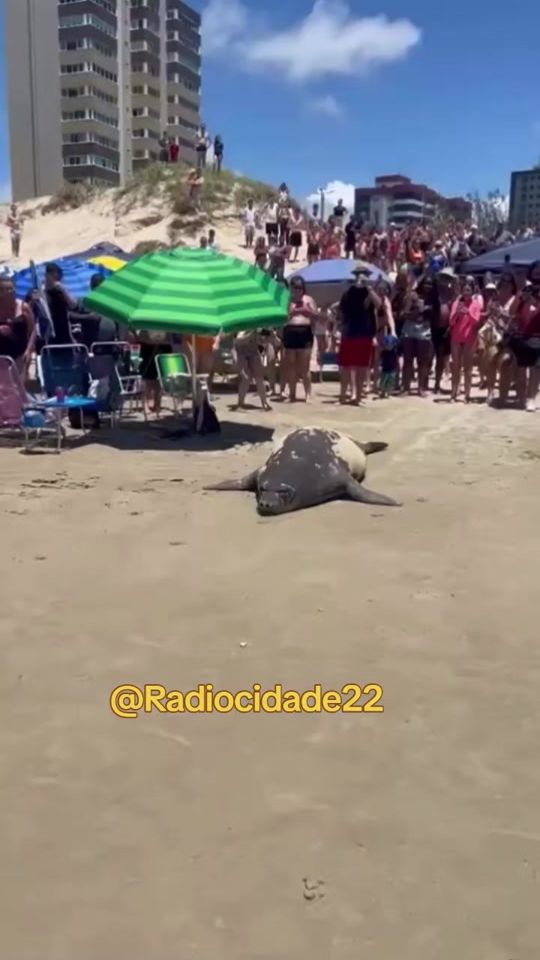 TikTok video thumbnail by radiocidade22