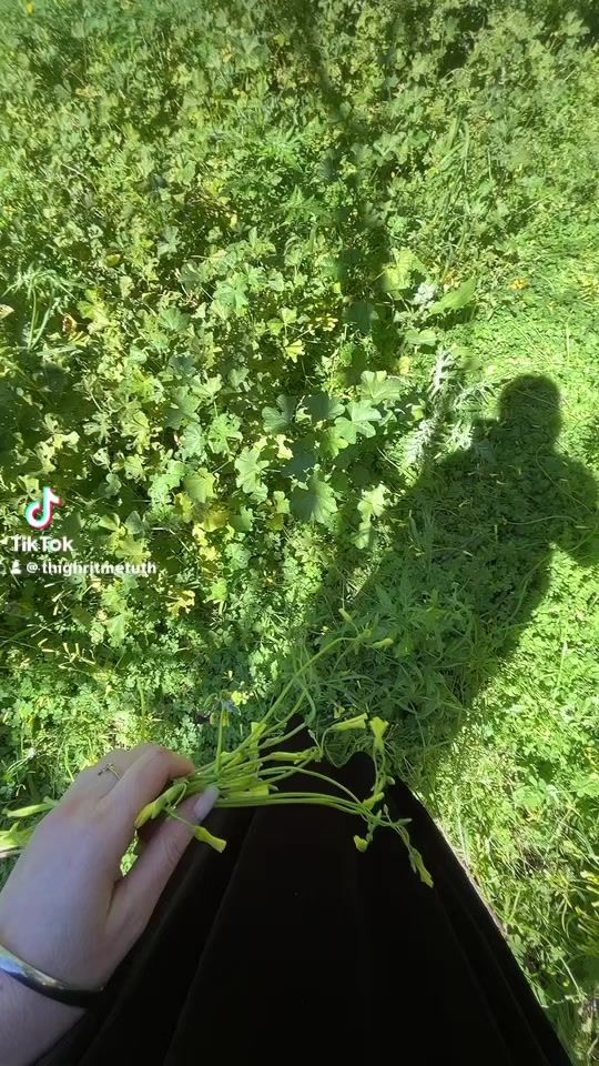 TikTok video thumbnail by thighritmetuth