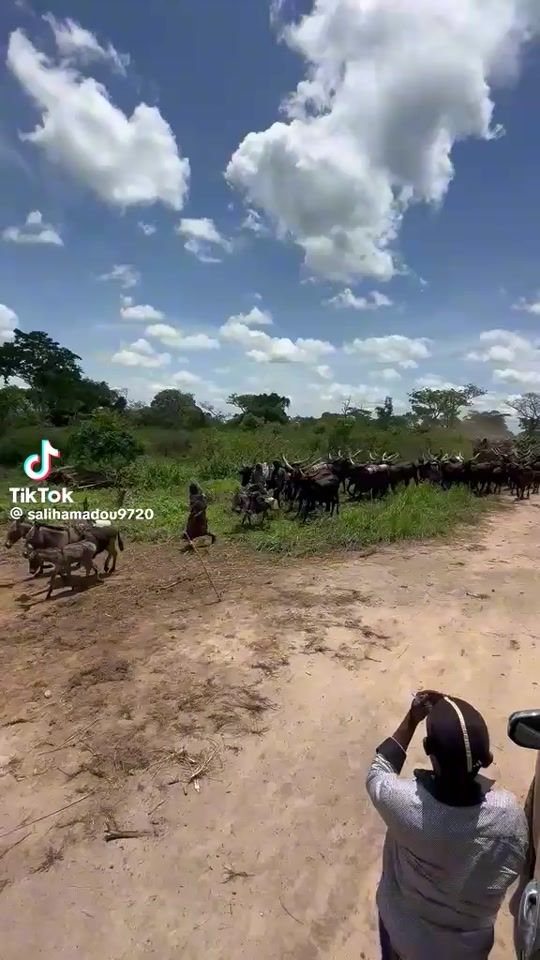 TikTok video thumbnail by ali.amadou13