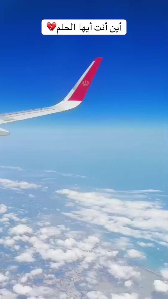 TikTok video thumbnail by qweenalia0