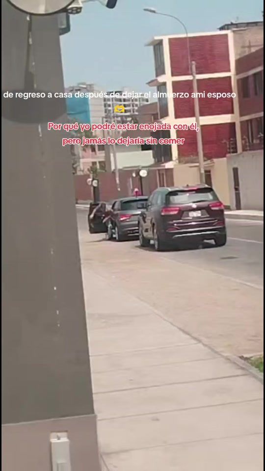 TikTok video thumbnail by melodeleon06