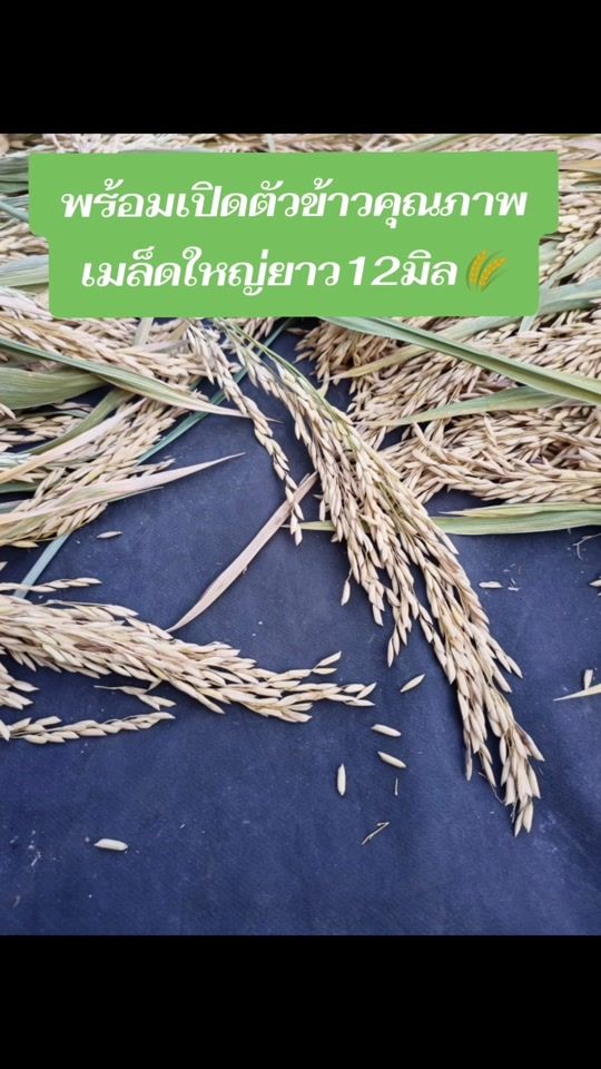 TikTok video thumbnail by nay_878betta