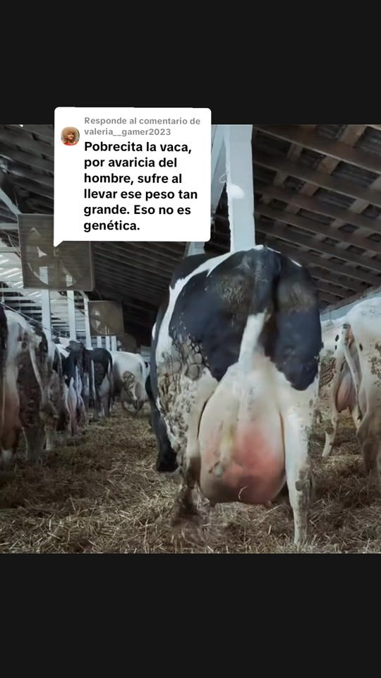 TikTok video thumbnail by francys_leal