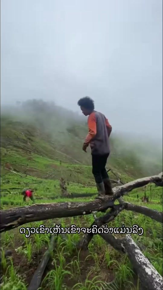TikTok video thumbnail by mayouyang7