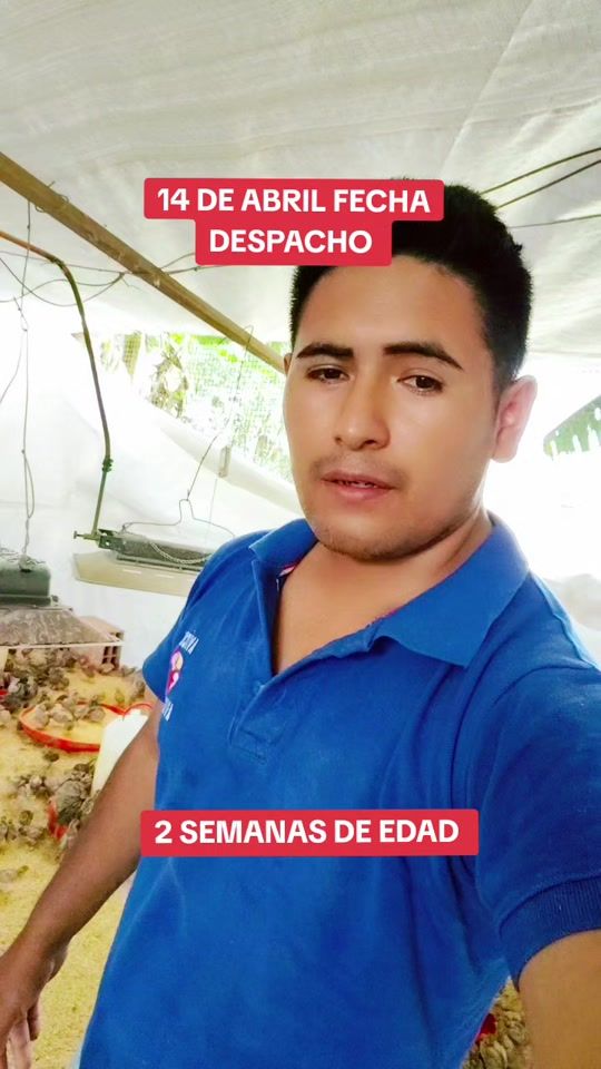 TikTok video thumbnail by avigards