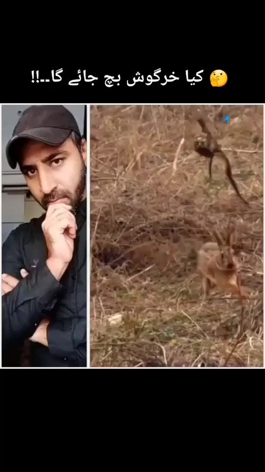 TikTok video thumbnail by daikh
