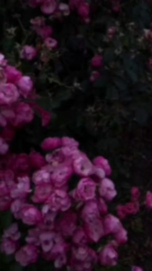 TikTok video thumbnail by 7nx.h