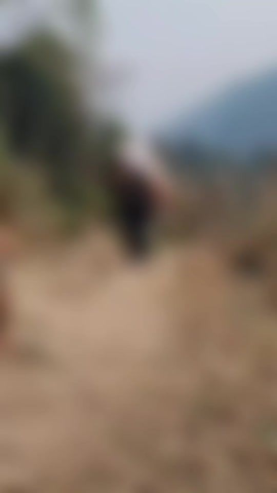 TikTok video thumbnail by kinley2021