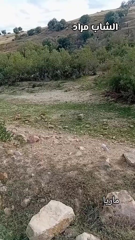 TikTok video thumbnail by mariyabougenna