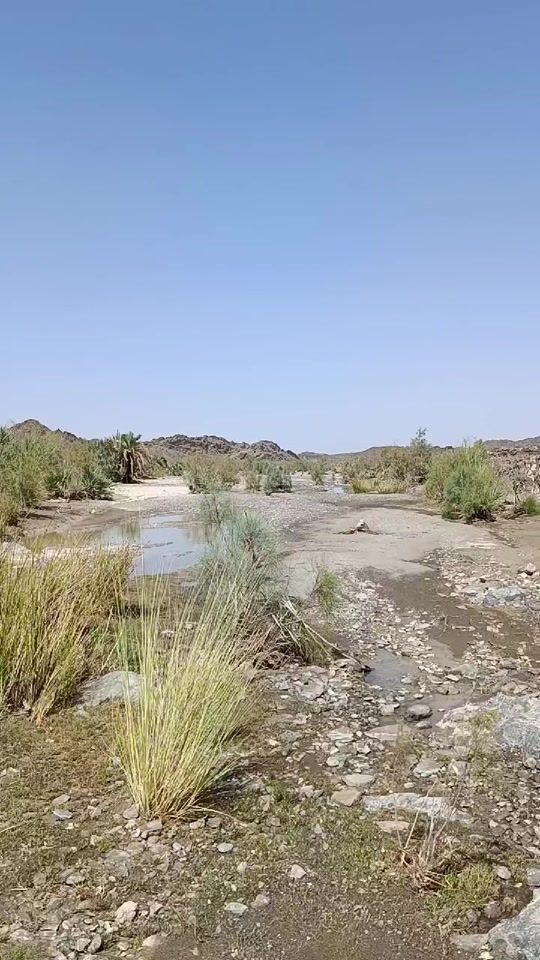 TikTok video thumbnail by user9527280711049