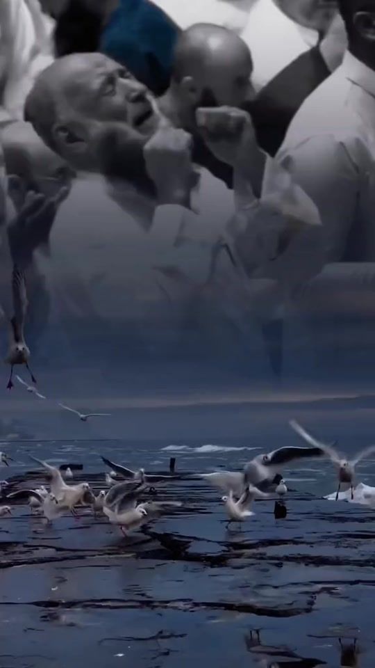 TikTok video thumbnail by staar66
