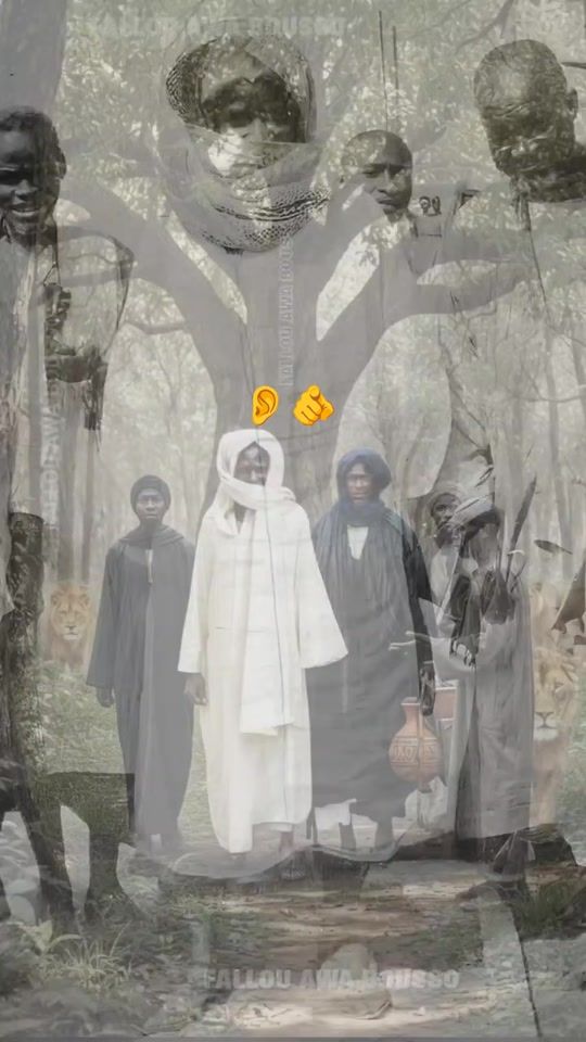 TikTok video thumbnail by moustpha.diob