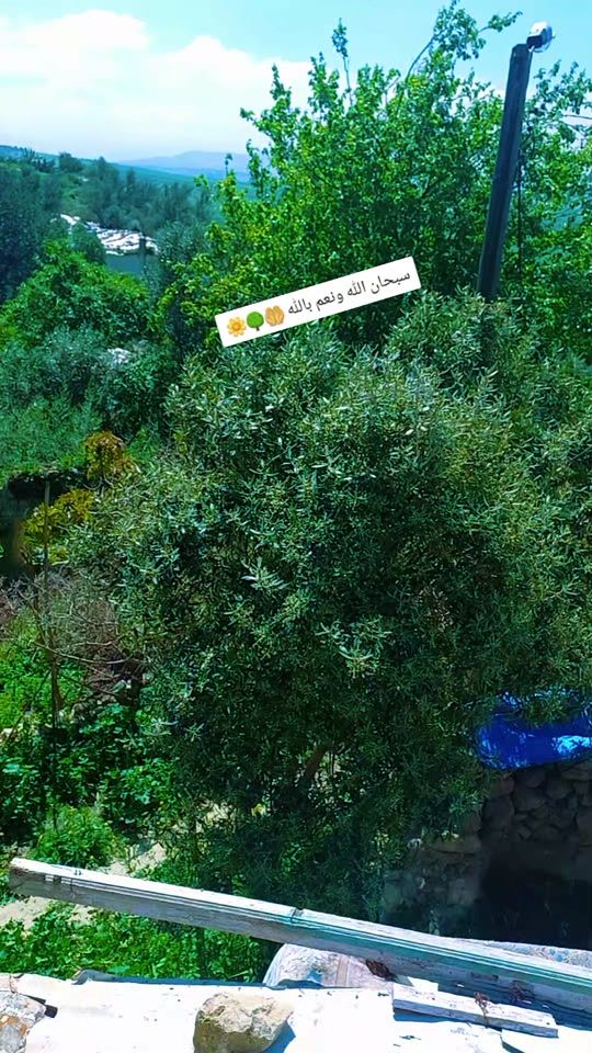 TikTok video thumbnail by prinsisasouad0