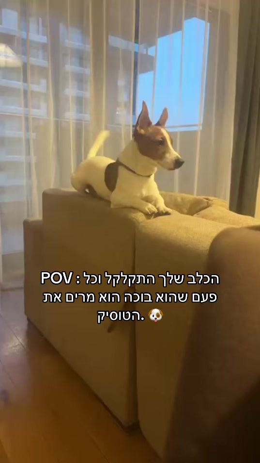 TikTok video thumbnail by kesemi3