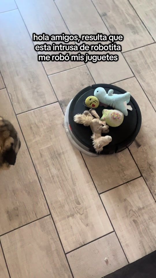 TikTok video thumbnail by arturitopug