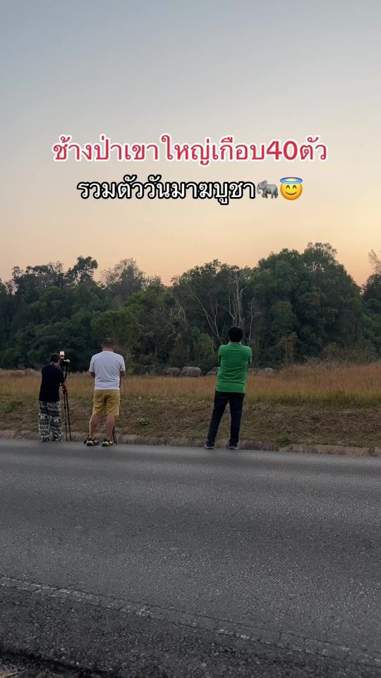 TikTok video thumbnail by poppiestory
